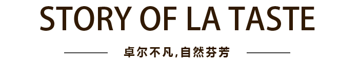 威客电竞·(中国)VK GAMING