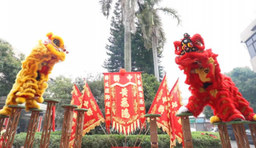 龙腾狮跃，，，，，，共铸绚烂未来！